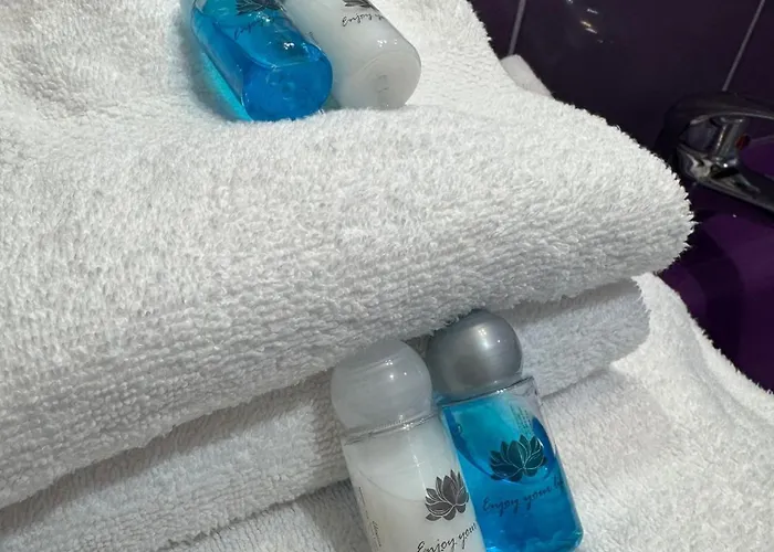 艾丽诺斯艾利斯旅馆 招待所 3*